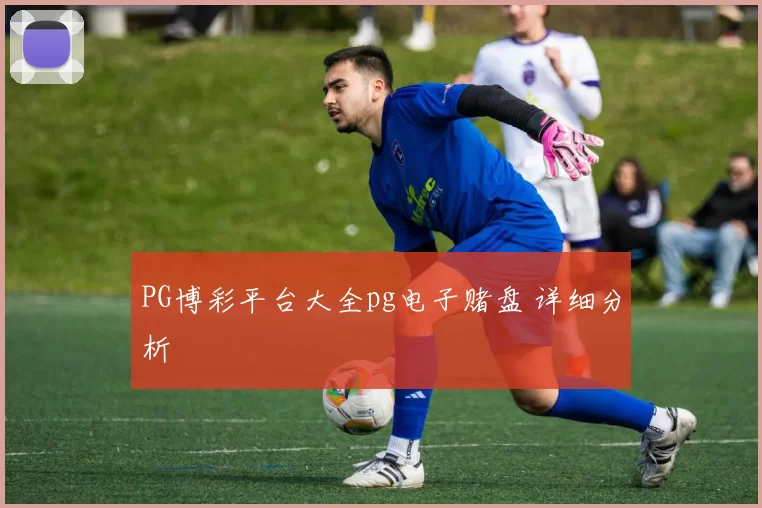 PG博彩平台大全pg电子赌盘 详细分析