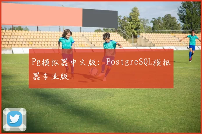 Pg模拟器中文版：PostgreSQL模拟器专业版