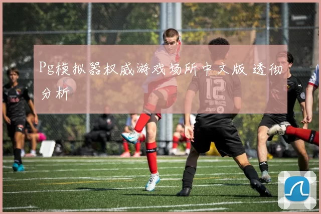 Pg模拟器权威游戏场所中文版 透彻分析