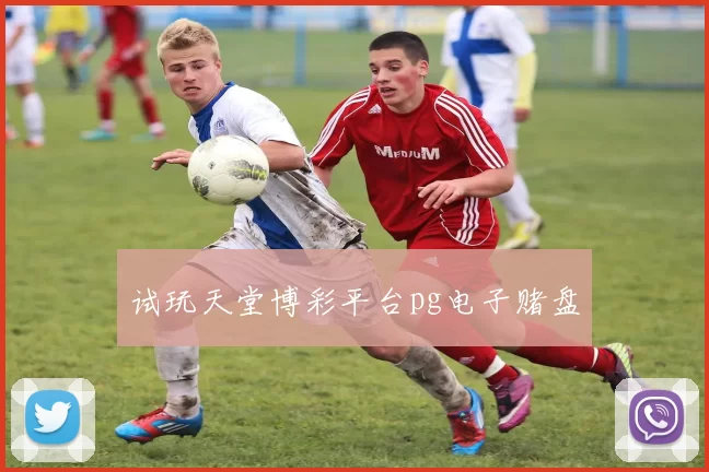 试玩天堂博彩平台pg电子赌盘