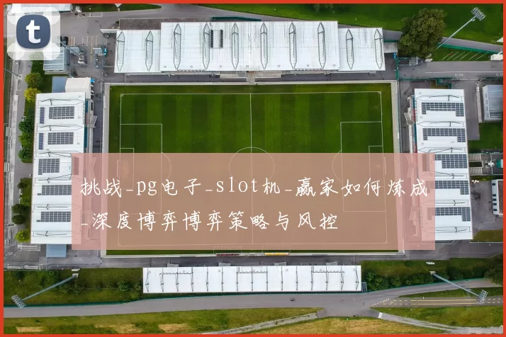 挑战_pg电子_slot机_赢家如何炼成_深度博弈博弈策略与风控