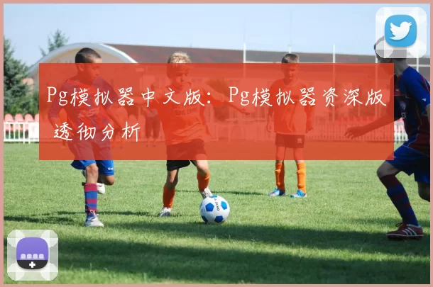 Pg模拟器中文版：Pg模拟器资深版 透彻分析