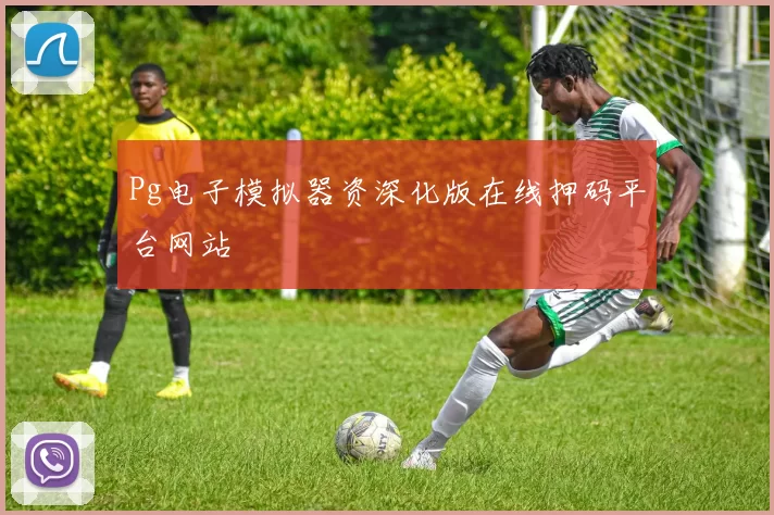 Pg电子模拟器资深化版在线押码平台网站