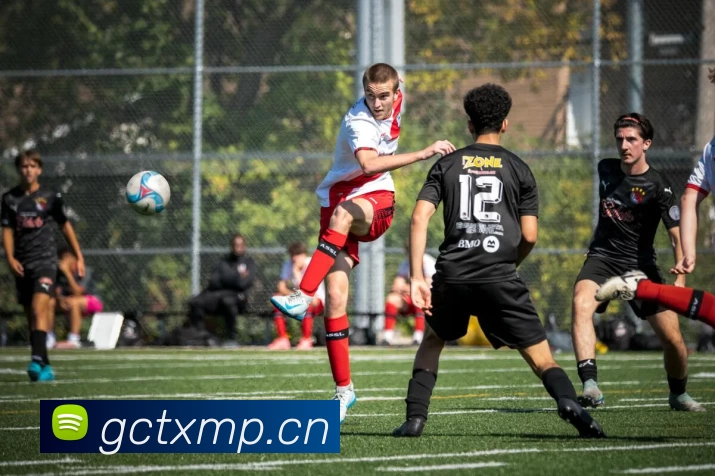 pg电子模拟器服务体系